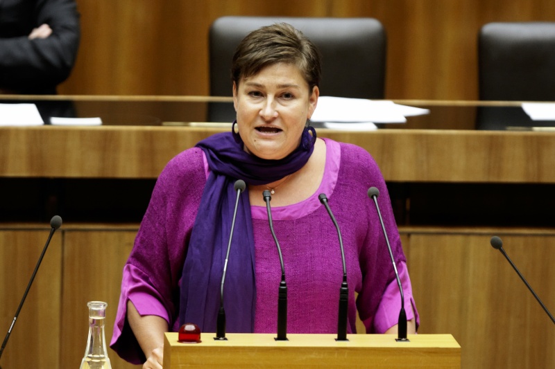 Petra Bayr, Nationalratsabgeordnete der SPÖ, am Rednerpult.