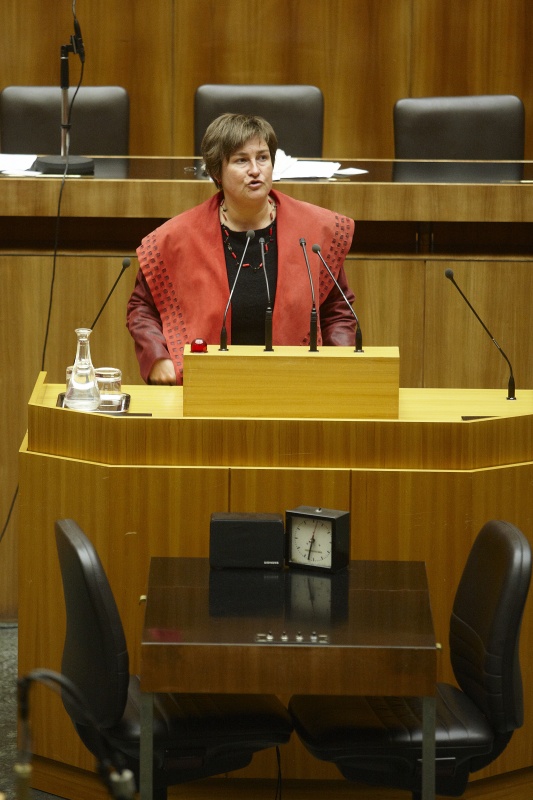 Petra Bayr, Nationalratsabgeordnete der SPÖ, am Rednerpult.
