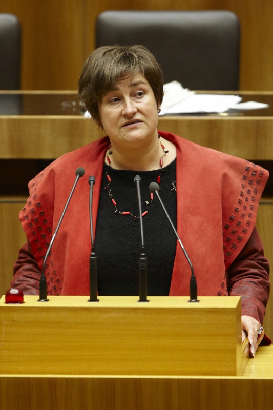 Petra Bayr, Nationalratsabgeordnete der SPÖ, am Rednerpult.
