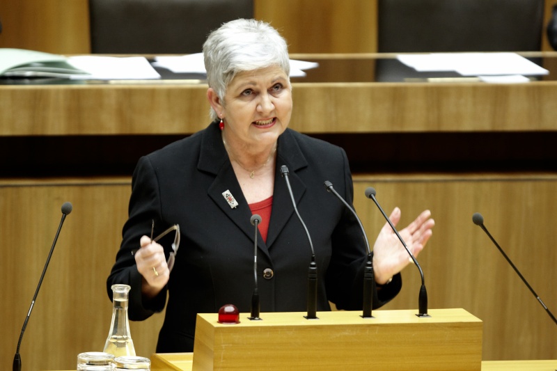 Gabriele Binder-Maier -  Nationalratsabgeordnete der SPÖ, am Rednerpult.