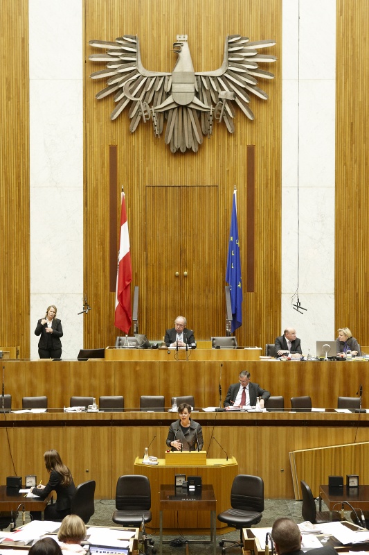 Claudia Durchschlag, Nationalratsabgeordnete der ÖVP, am Rednerpult. Auf der Regierungsbank Alois Stöger - Bundesminister für Gesundheit. Am Präsidium Fritz Neugebauer – Zweiter Nationalratspräsident. Dienst am Präsidium v.li. Dr. Wolfgang Engeljehringer (1er Position) und MMag.a Ines Kerle (2er Position).