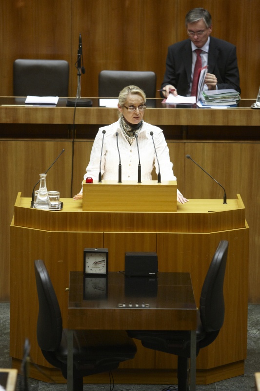 Carmen Gartelgruber, Nationalratsabgeordnete der FPÖ, am Rednerpult. Auf der Regierungsbank Alois Stöger - Bundesminister für Gesundheit.