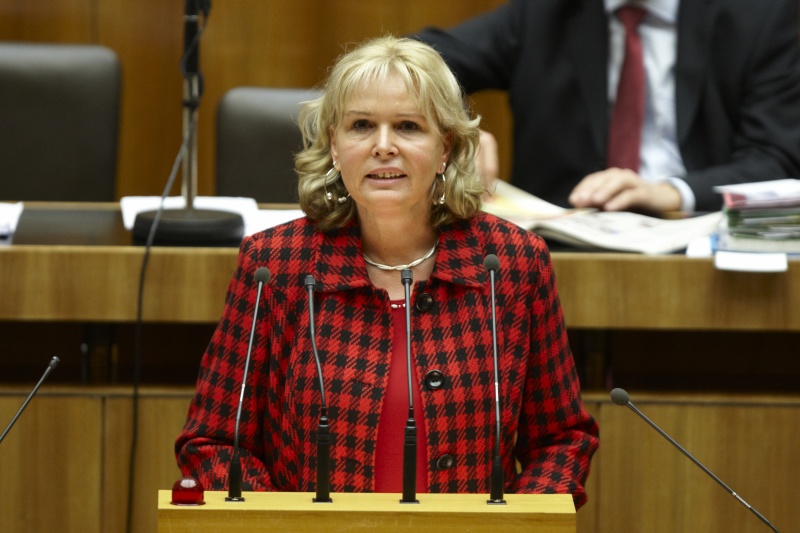 Andrea Gessl-Ranftl, Nationalratsabgeordnete der SPÖ, am Rednerpult.