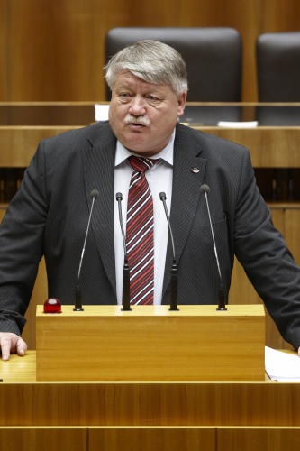 Wolfgang Großruck,  Nationalratsabgeordneter der ÖVP, am Rednerpult.