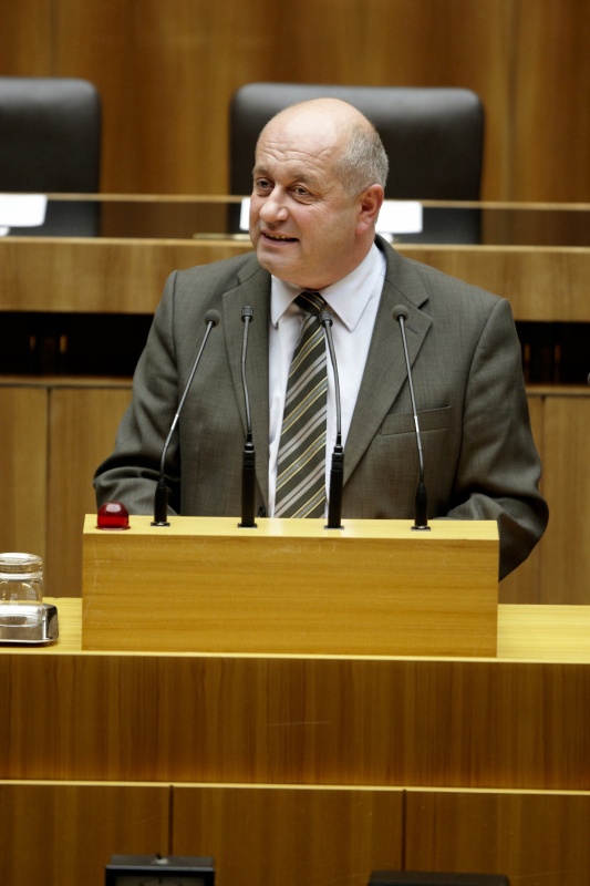 Erwin Hornek , Nationalratsabgeordneter der ÖVP, am Rednerpult.