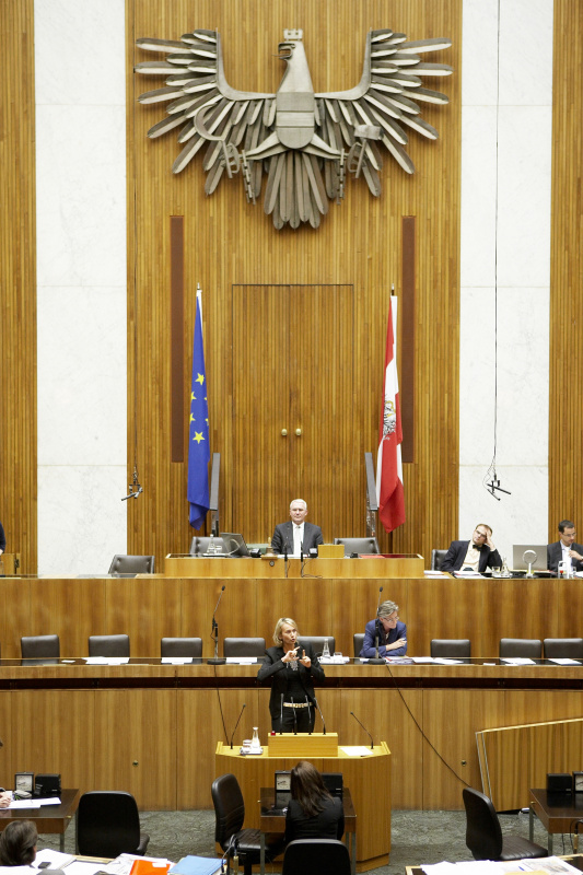 Mag. Helene Jarmer, Nationalratsabgeordnete der GRÜNEN, am Rednerpult. Auf der Regierungsbank Dr.in Claudia Schmied - Bundesministerin für Unterricht, Kunst und Kultur. Am Präsidium Dr.Martin Graf - Dritter Nationalratspräsident. Dienst am Präsidium v.li. Dr. Erich Saurugger (1er Position) und Mag. David Christian Liebich (2er Position).
