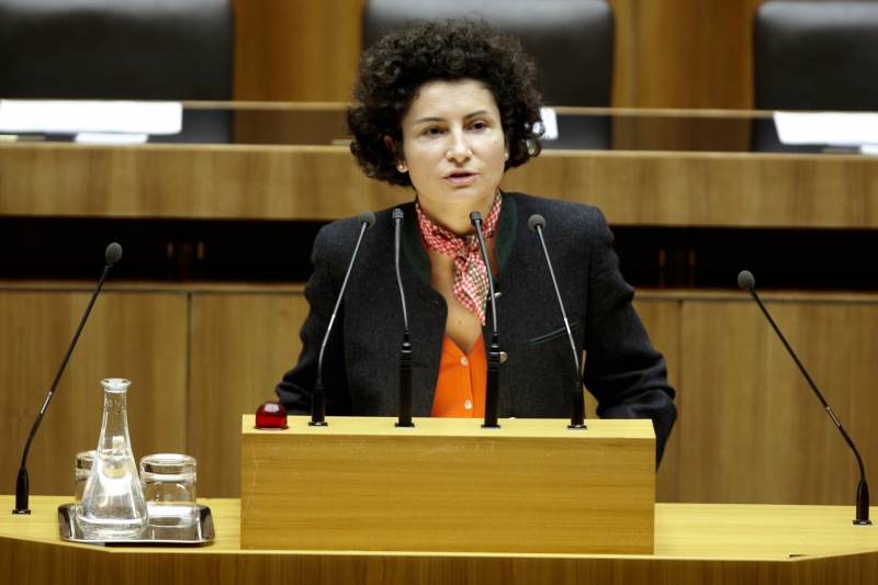 Mag. Alev Korun,  Nationalratsabgeordnete der Grünen, am Rednerpult.