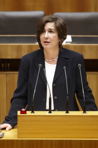 Mag. Christine Lapp,  Nationalratsabgeordnete der SPÖ, am Rednerpult.