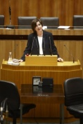 Mag. Christine Lapp,  Nationalratsabgeordnete der SPÖ, am Rednerpult.