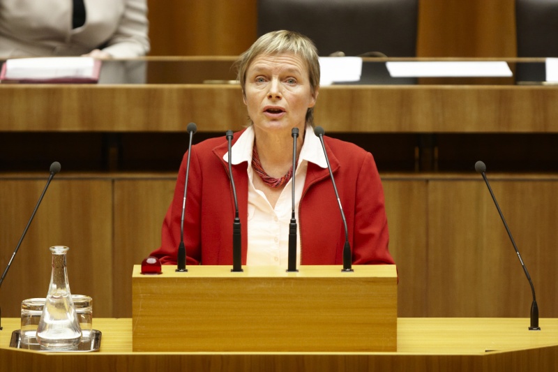 Mag. Rosa Lohfeyer, Nationalratsabgeordnete der SPÖ, am Rednerpult.