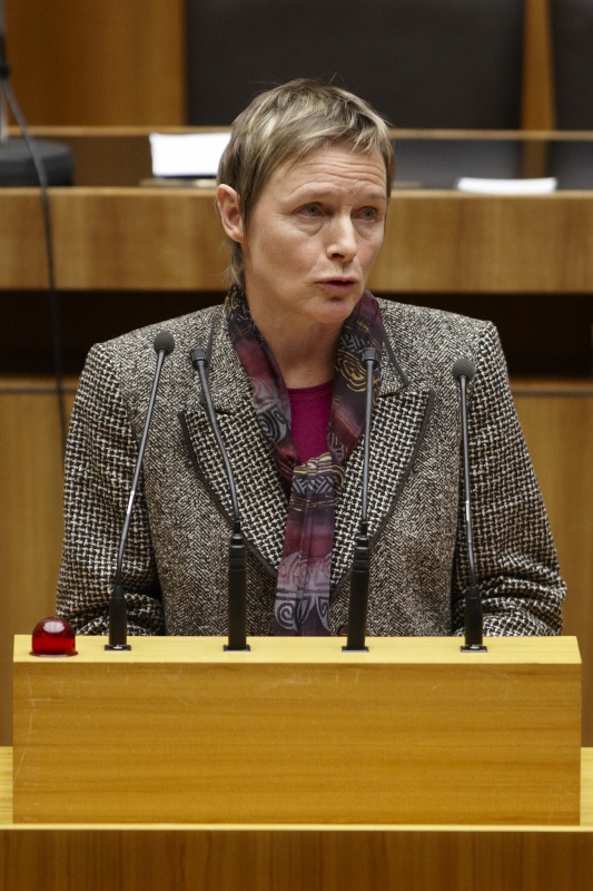 Mag. Rosa Lohfeyer, Nationalratsabgeordnete der SPÖ, am Rednerpult.
