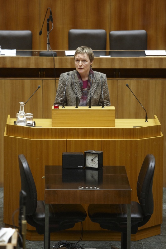 Mag. Rosa Lohfeyer, Nationalratsabgeordnete der SPÖ, am Rednerpult.