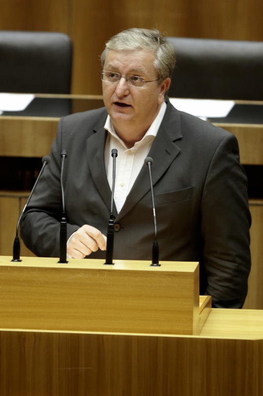 Dr. Christoph Matznetter, Nationalratsabgeordneter der SPÖ, am Rednerpult.