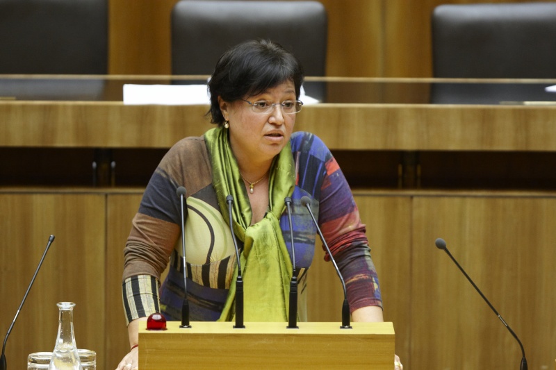 Dr. Sabine Oberhauser,  Nationalratsabgeordnete der SPÖ, am Rednerpult.