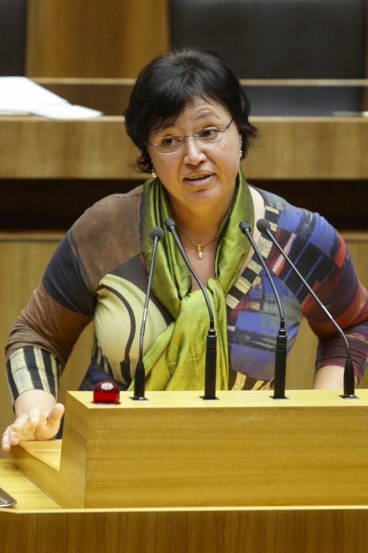 Dr. Sabine Oberhauser,  Nationalratsabgeordnete der SPÖ, am Rednerpult.