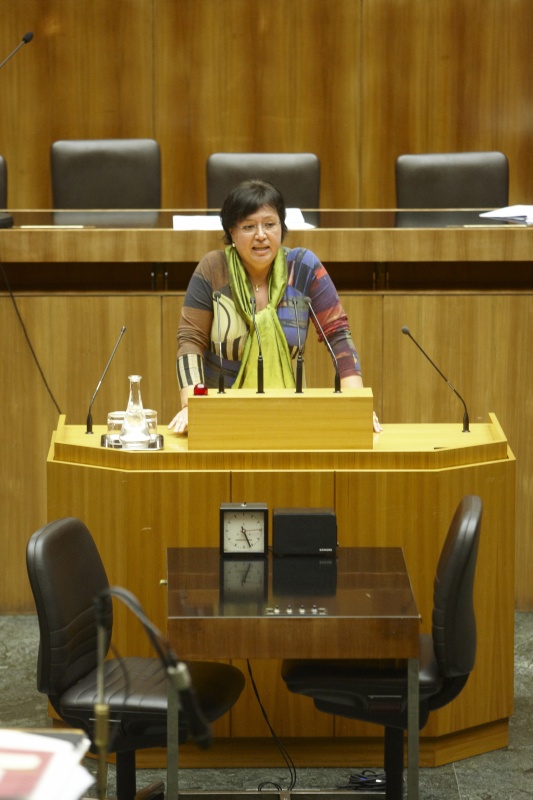 Dr. Sabine Oberhauser,  Nationalratsabgeordnete der SPÖ, am Rednerpult.