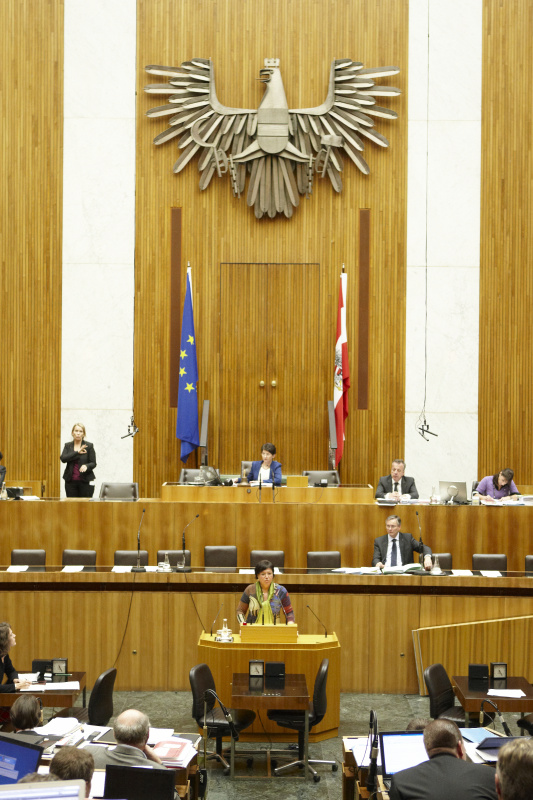 Dr. Sabine Oberhauser,  Nationalratsabgeordnete der SPÖ, am Rednerpult. Auf der Regierungsbank Alois Stöger - Bundesminister für Gesundheit. Am Präsidium Mag.a Barbara Prammer - Nationalratspräsidentin. Dienst am Präsidium v.li. Dr. Joseph Wirnsperger (1er Position) und Mag. Julia Dörfel (2-er Position).