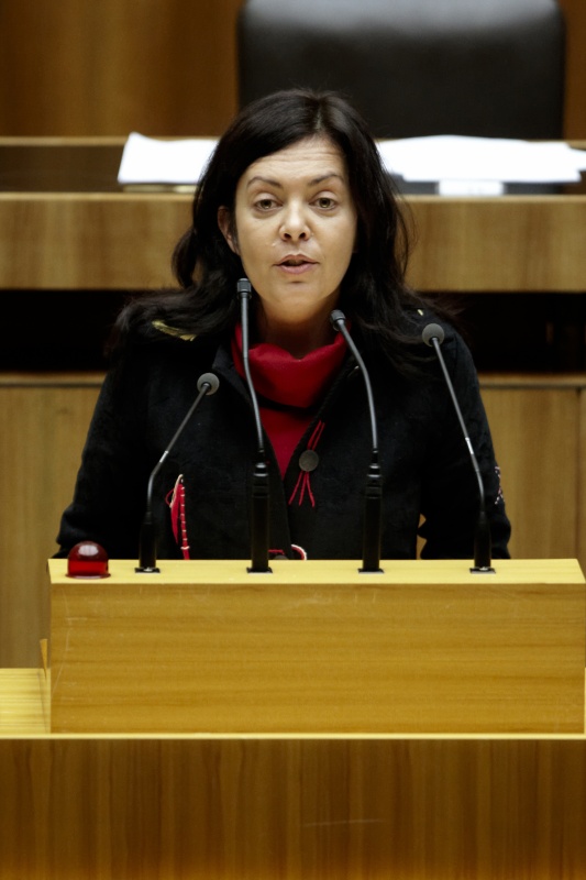 Mag. Birgit Schatz - Nationalratsabgeordnete der GRÜNEN