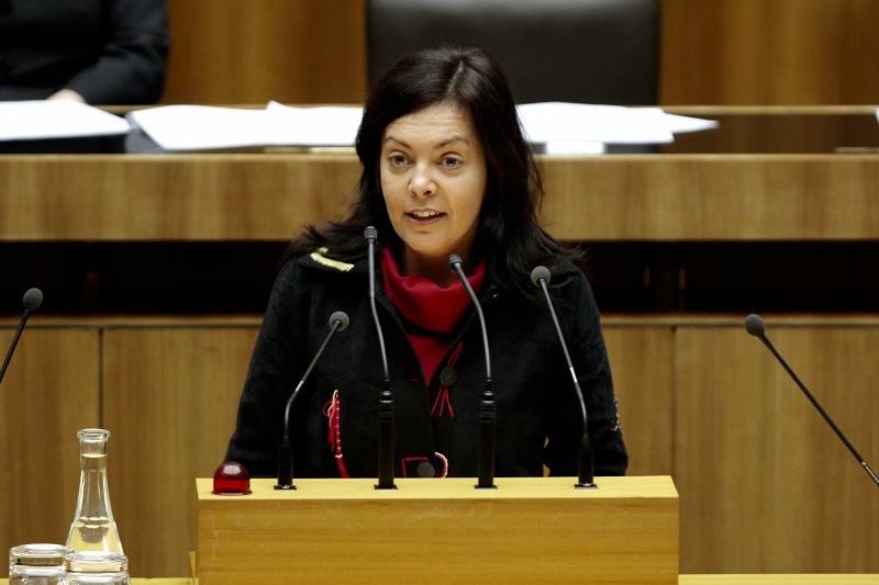 Mag. Birgit Schatz - Nationalratsabgeordnete der GRÜNEN