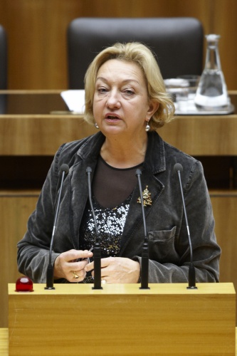 Ridi Maria Steibl, Nationalratsabgeordnete der ÖVP, am Rednerpult.