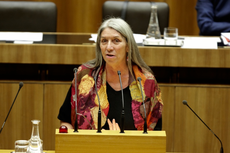 Mag. Heidemarie Unterreiner -Nationalratsabgeordnete der FPÖ am Rednerpult.