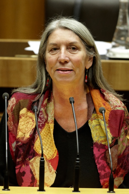 Mag. Heidemarie Unterreiner -Nationalratsabgeordnete der FPÖ am Rednerpult.