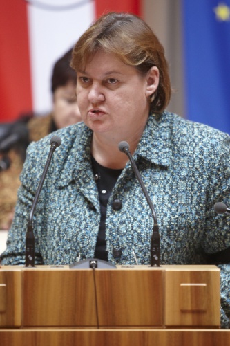 Monika Kemperle, Bundesrätin der SPÖ, am Rednerpult.