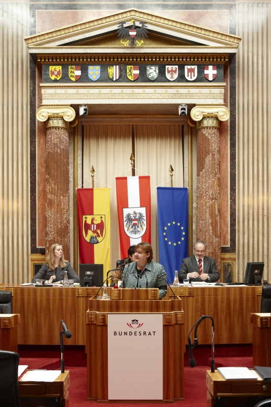Monika Kemperle, Bundesrätin der SPÖ, am Rednerpult.