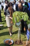 Nationalratspräsidentin Mag.a Barbara Prammer und Alpla-Chef Vagish Dixit pflanzen zur Erinnerung an den Besuch aus Österreich einen Baum.