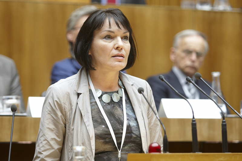 Mag. Isabella Zins - Gewerkschaft öffentlicher Dienst am Rednerpult