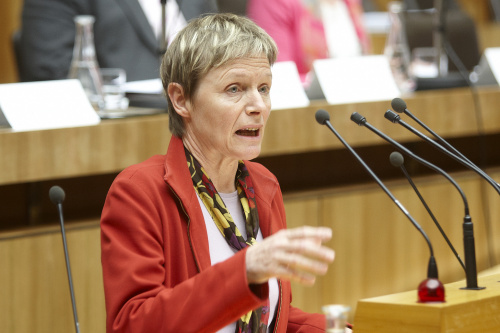 Mag. Rosa Lohfeyer - Nationalratsabgeordnete der SPÖ am Rednerpult