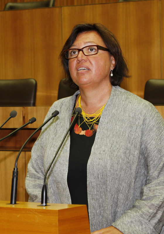 Dr.in Sabine Oberhauser - MAS - ÖGB Vizepräsidentin - Abgeordnete zum Nationalrat am Rednerpult