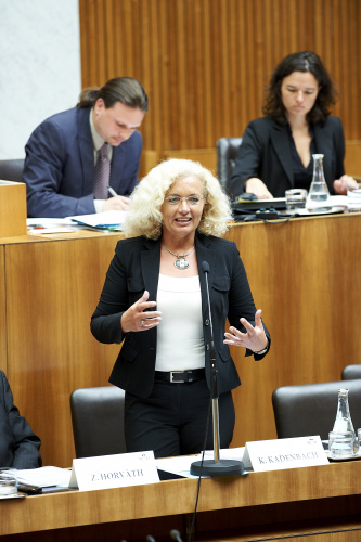 Karin Kadenbach - Mitglied des Europäischen Parlaments, SPÖ am Wort