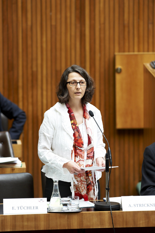 Mag.a Alexandra Strickner -Vorstand von Attac Österreich am Wort