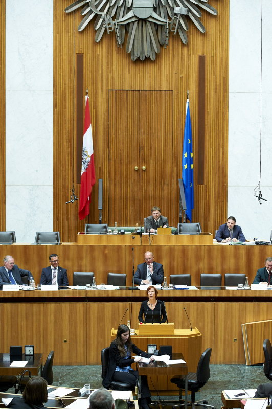 DI Irmtraud Salzer am Rednerpult