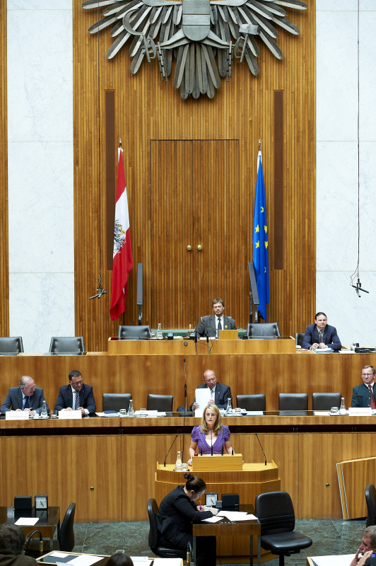 Ulrike Königsberger-Ludwig - Nationalratsabgeordnete am Rednerpult