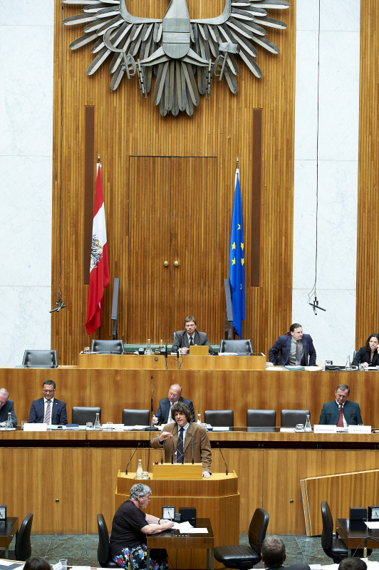 DI Michael Johann am Rednerpult