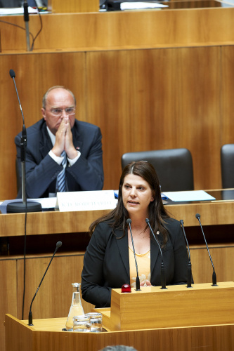Martina Schenk - Nationalratsabgeordnete am Rednerpult