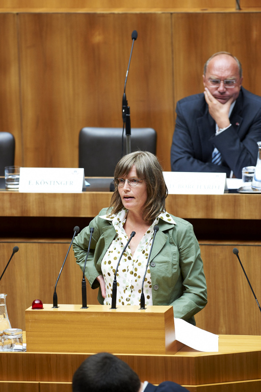 DI Dr.in Iris Strutzmann am Rednerpult