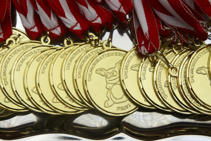 Demokratiewerkstatt Profi-Medaillien