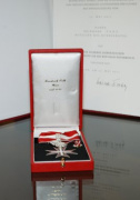 Großes Silbernes Ehrenzeichen für Verdienste um die Republik Österreich