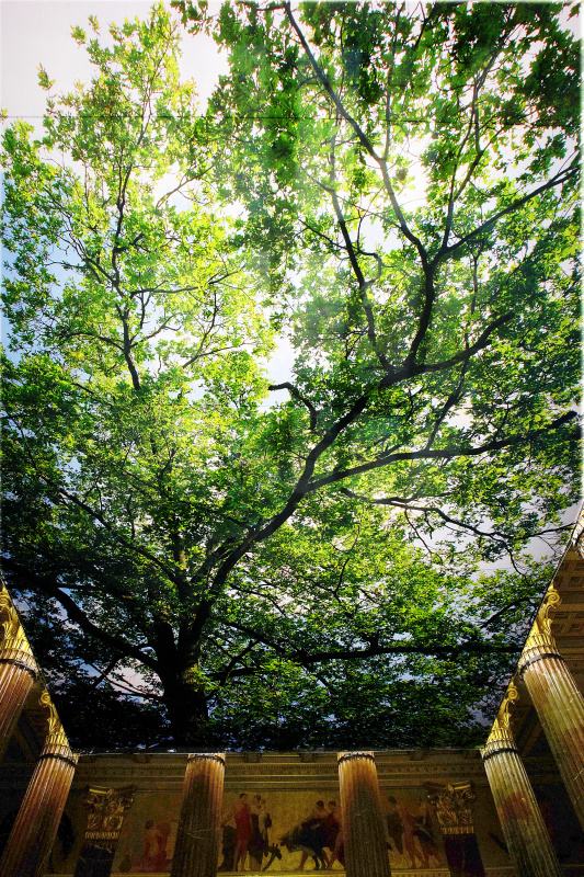 Baumdekoration an der Decke der Säulenhalle
