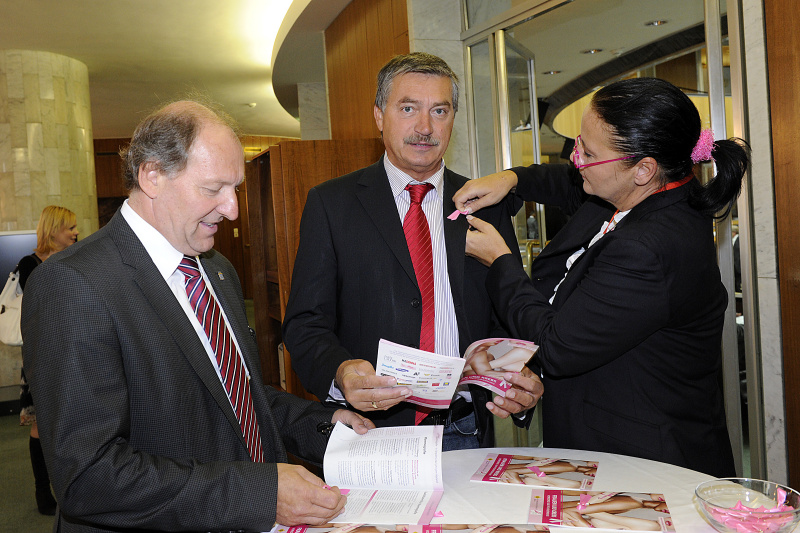 v.li. Johann Hechtl - Nationalratsabgeordneter, Peter Stauber - Nationalratsabgeordneter und Doris Kiefhaber - Geschäftsführerin der Österreichischen Krebshilfe