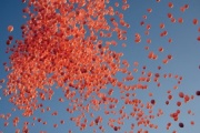 Pink Ribbon Ballone