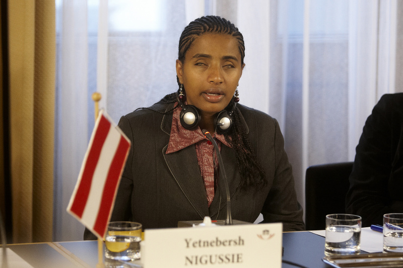 Yetnebersh Nigussie - Ethiopian Centre for Disability and Development