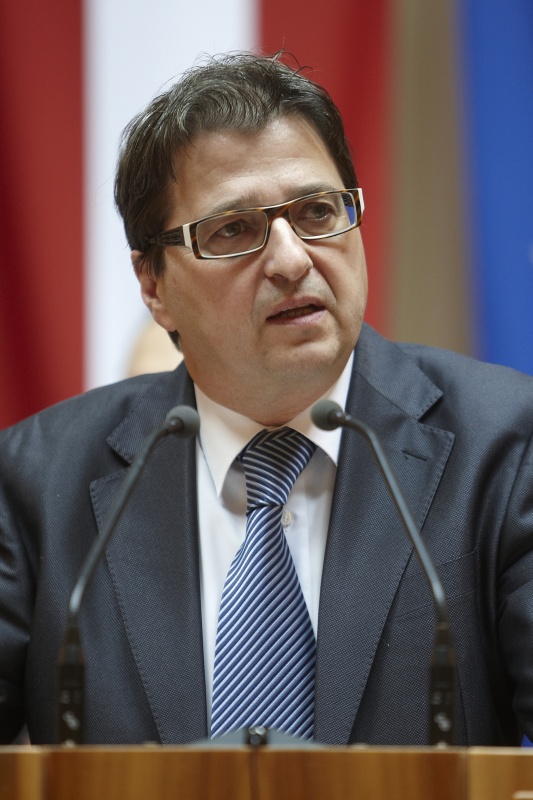 Nationalratsabgeordneter Peter Wittmann (S) am Rednerpult