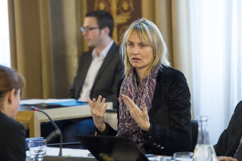 Nationalratsabgeordnete Helene Jarmer (G)