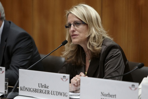 Nationalratsabgeordnete Ulrike Königsberger-Ludwig (S) am Wort