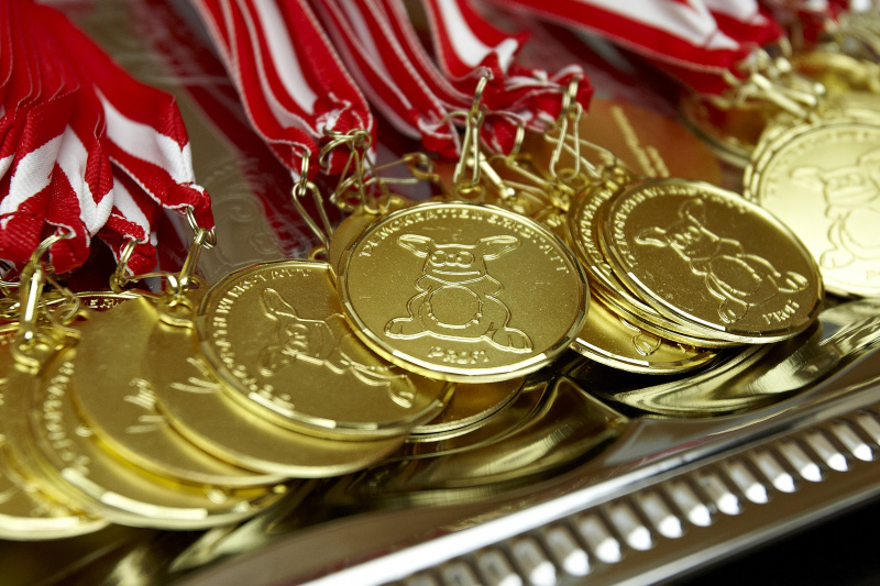 Demokratiewerkstatt Profi-Medaillien