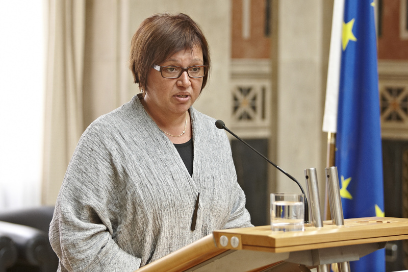 Sabine Oberhauser am Rednerpult